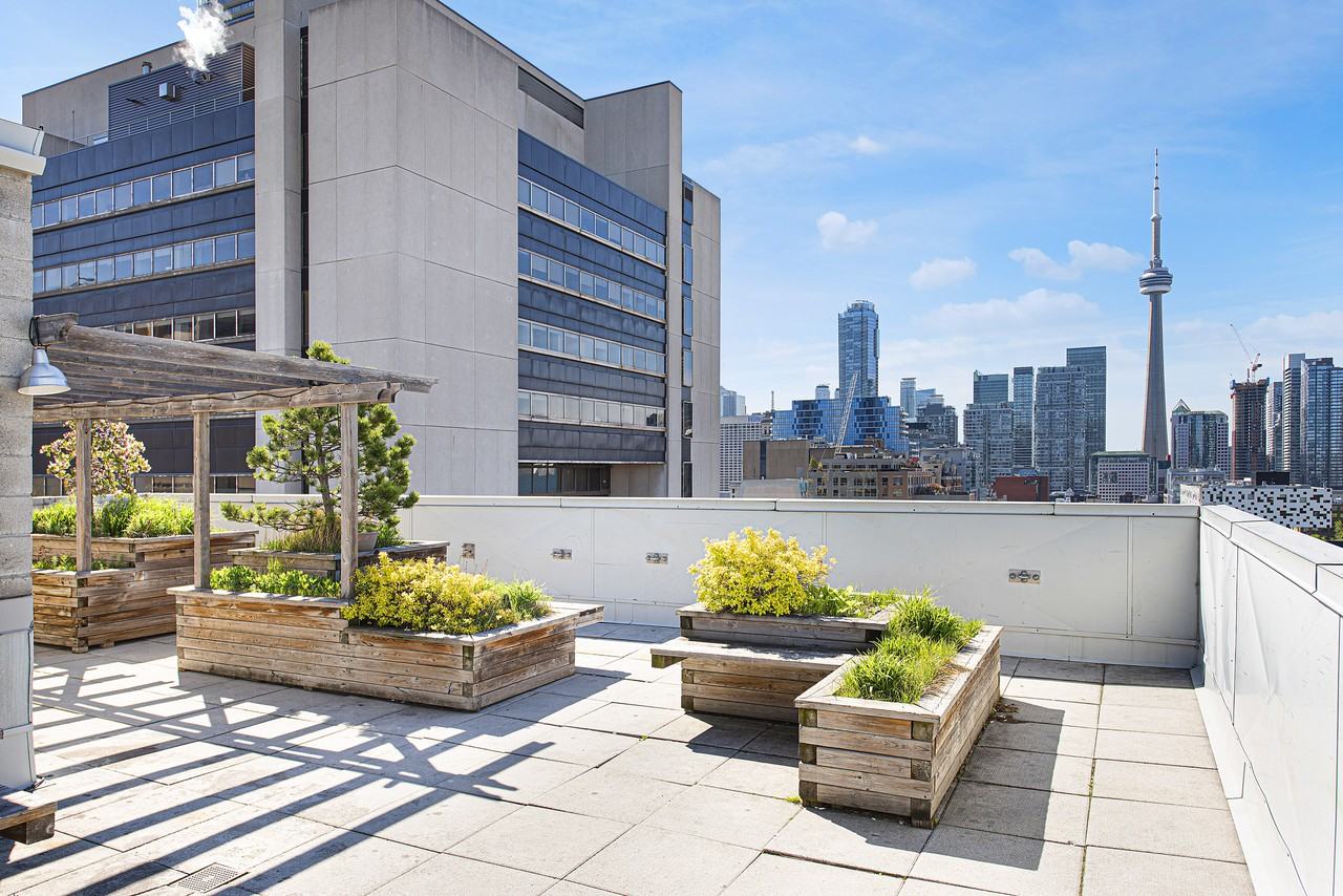 Elm Place Apartments in Grange Park, Toronto, ON M5T 1K5 Zumper