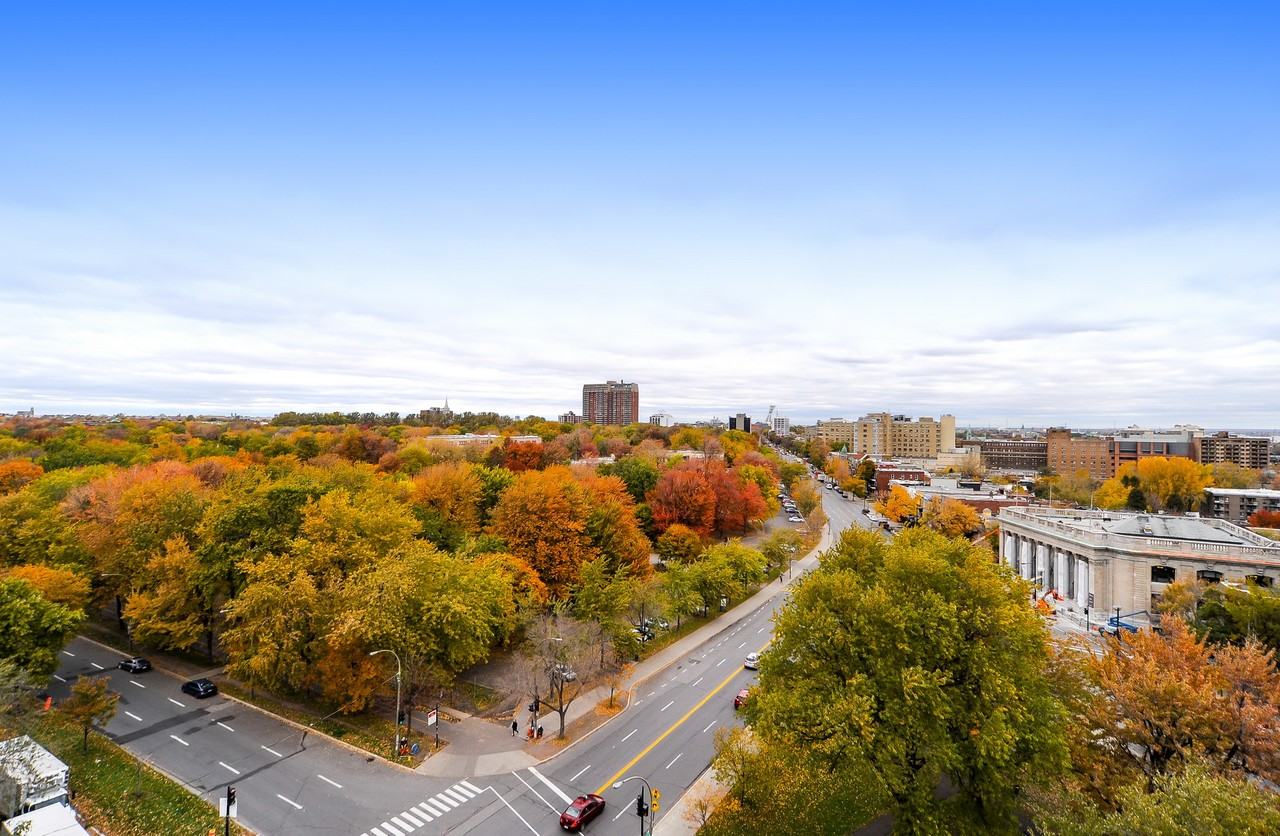 Le Cherrier Apartments 1010 Rue Cherrier, Montréal, QC H2L 1H8 Zumper