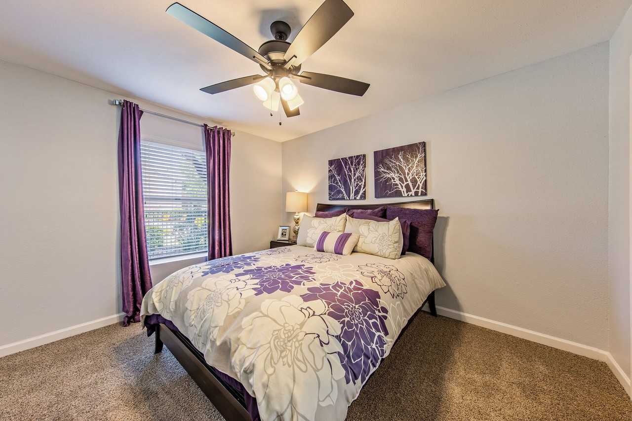 The Domain at Ellington Apartments 11700 Fuqua St, Houston, TX 77034