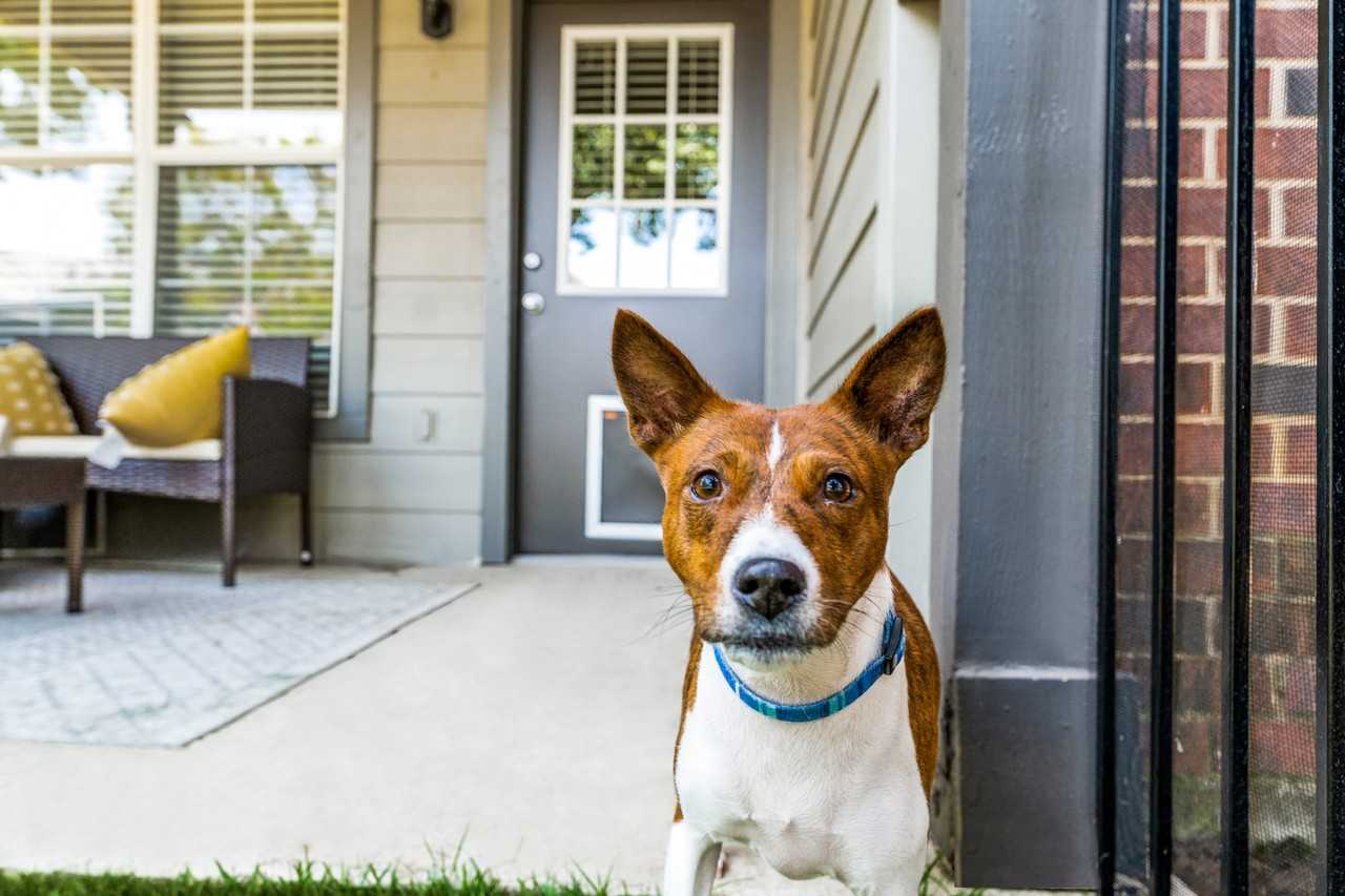 Dane Park North Garland Apartments 6200 N Shiloh Rd, Garland, TX