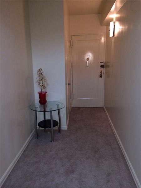 NEWLY RENOVATED/ FURNISHED 2 BEDROOM IN PARKCHESTER (EVERYTHING NEW IN