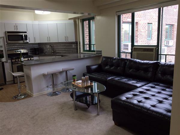 NEWLY RENOVATED/ FURNISHED 2 BEDROOM IN PARKCHESTER (EVERYTHING NEW IN