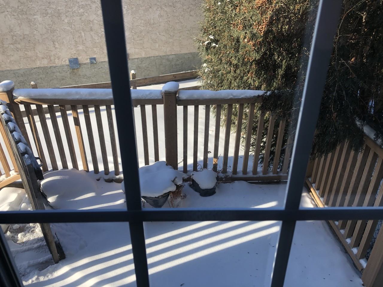 3 Bed 2 Bath Updated Duplex in Gibbons**Fenced Yard**Lots of Storage