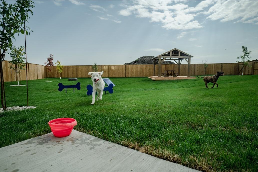 277 Sand Piper Trail N Apartments in Landmark, MB R0A 0X0 Zumper