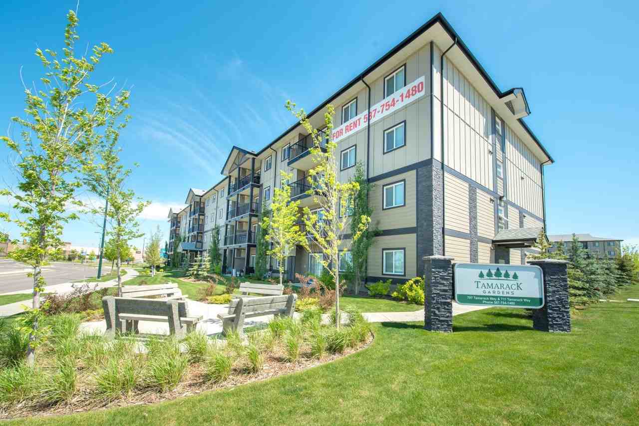 Tamarack Gardens Apartments 707 707 / 711 Tamarack Way 707, Edmonton