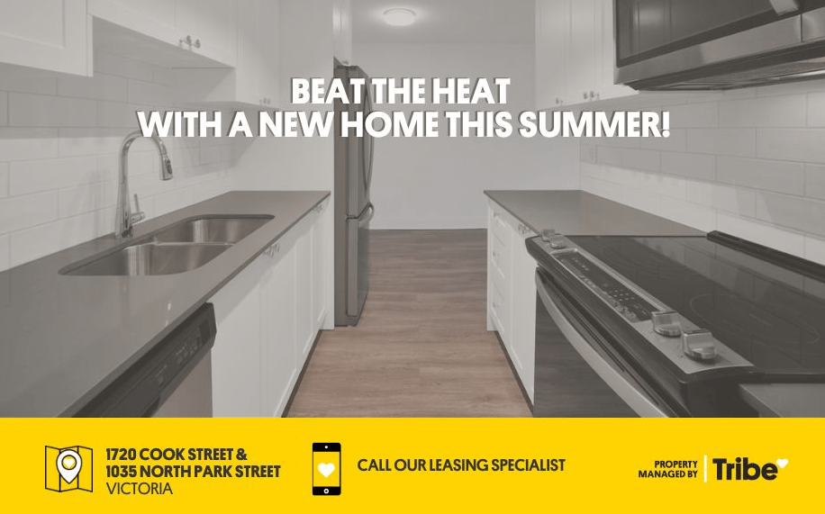 Studio Apartments for Rent In Victoria, BC Rentals Available Zumper