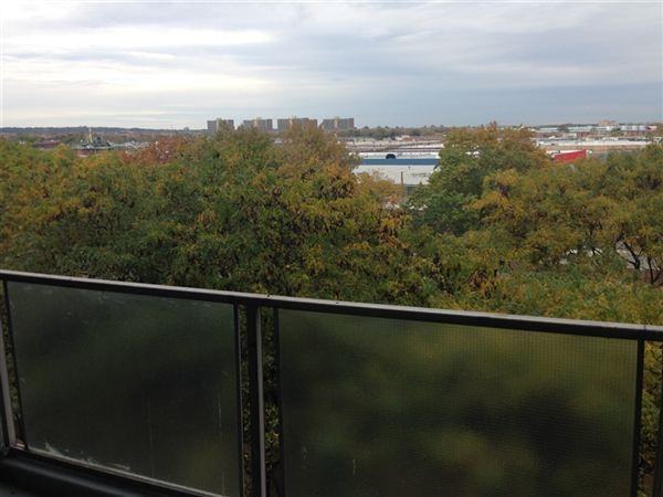 Flatlands Ave and Elton St Apartments Flatlands Ave, New York, NY 11208 Zumper