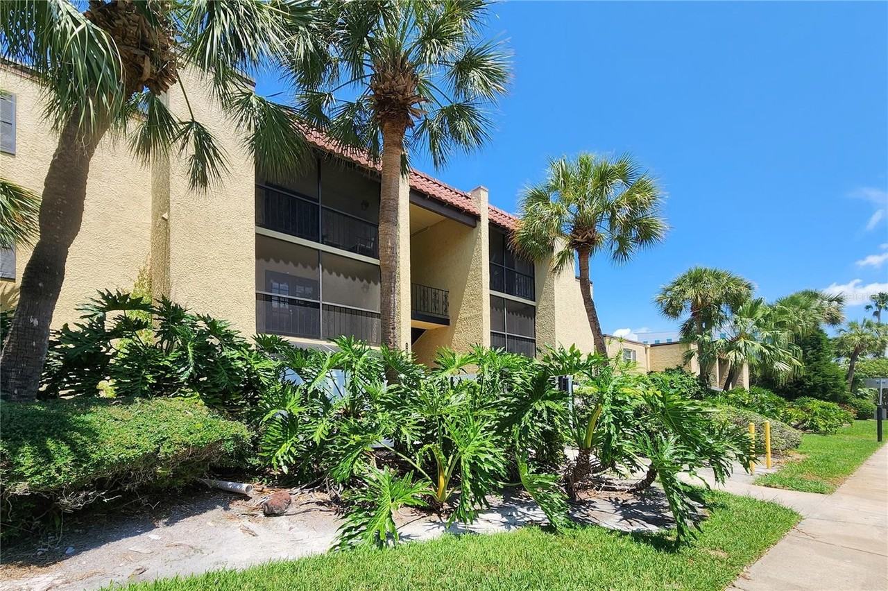 Apartments for Rent In Beach Park, Tampa, FL 1,589 Rentals Available
