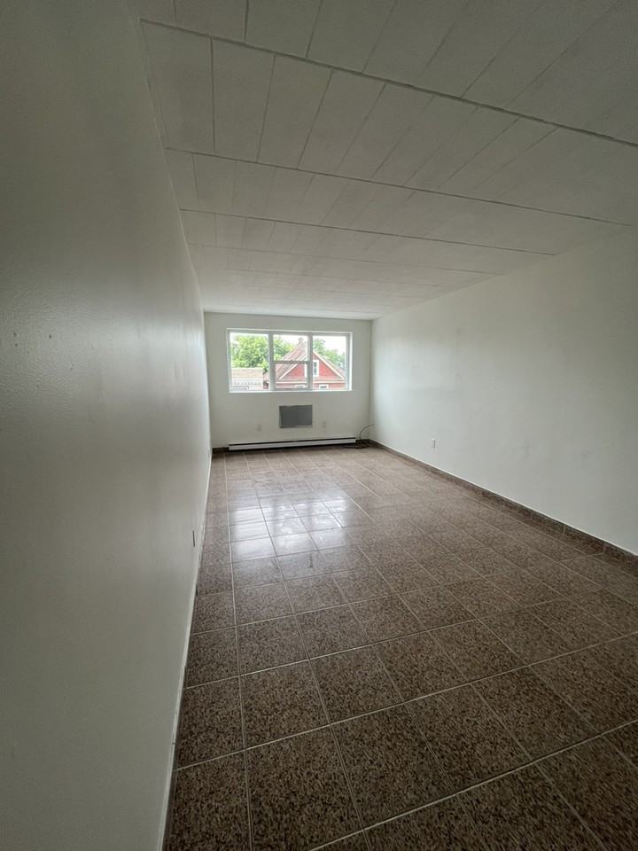 1264 Wyandotte St E, Windsor, ON N9A 3K5 1 Bedroom Apartment for 1,200