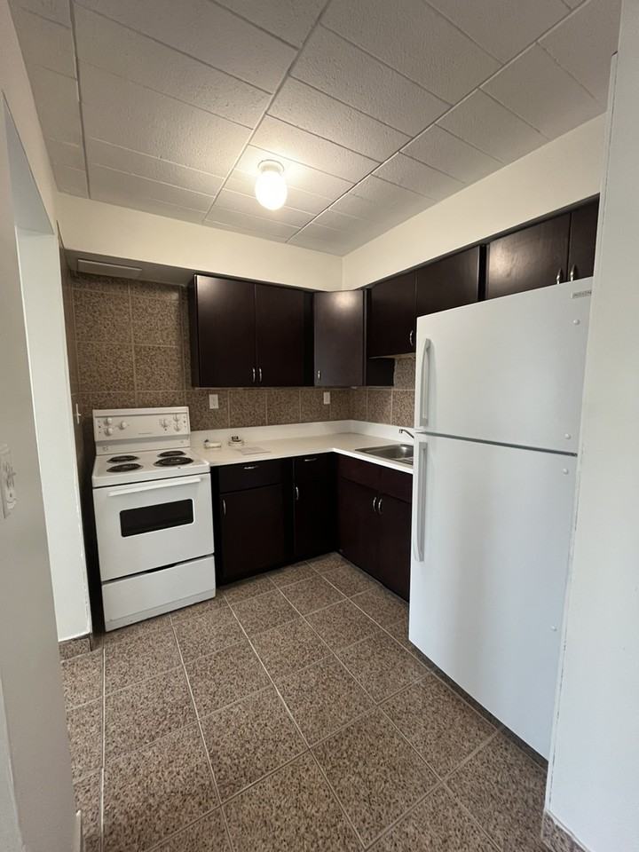 1264 Wyandotte St E, Windsor, ON N9A 3K5 1 Bedroom Apartment for 1,200