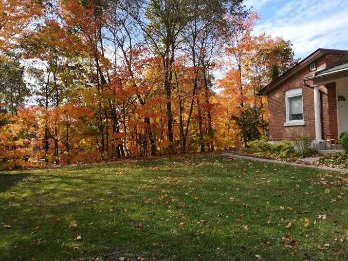 Peel Street 22 Apartments 22 Peel St, Barrie, ON L4M 3K8 Zumper