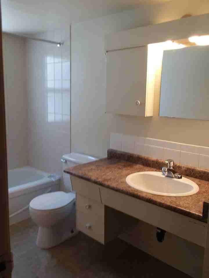 Ravine View Apartments 9956 79 St Nw, Edmonton, AB T6A 3G1 Zumper