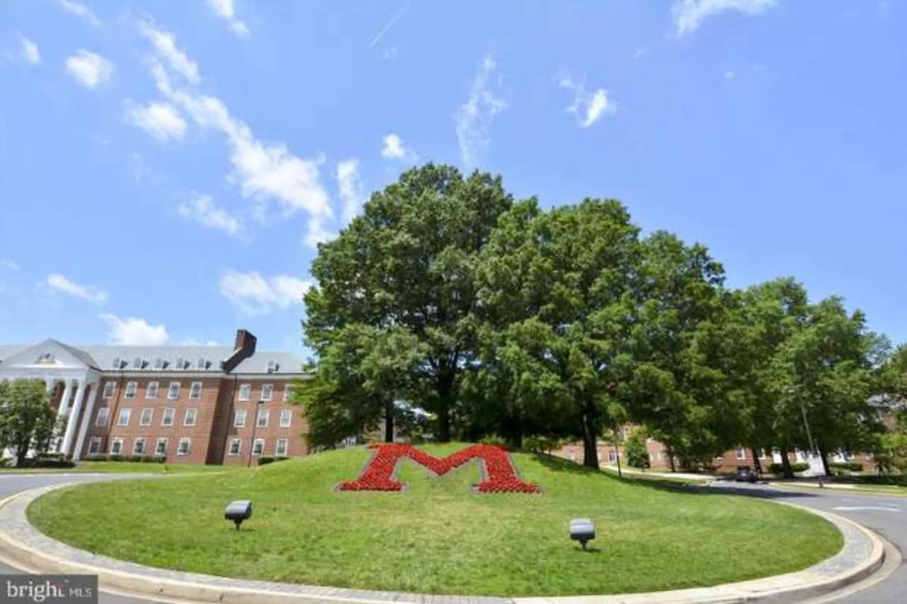 Apartments for Rent In College Park, MD Find 48 Condos & Other Rentals