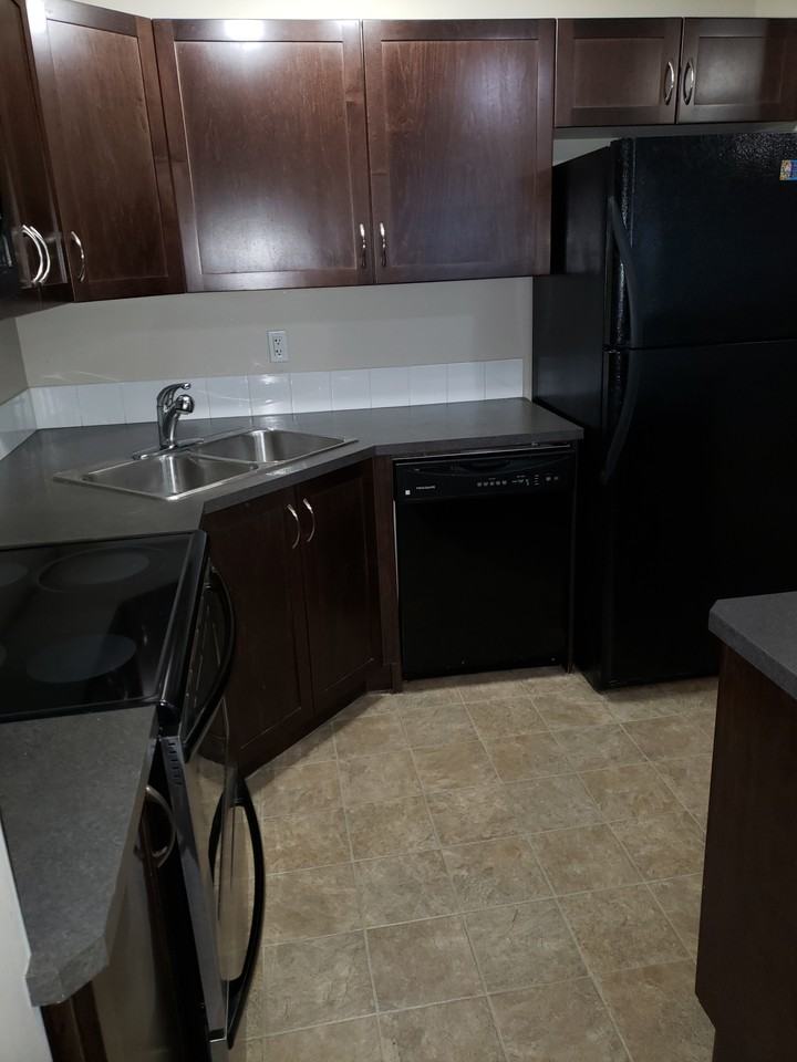 311 392 Silverberry Road Apartments 392 Silver Berry Rd Nw, Edmonton