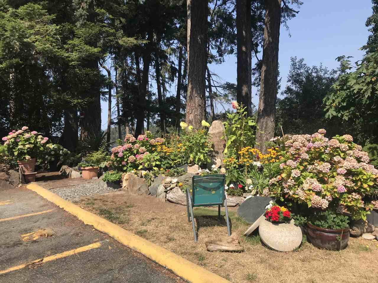 Dingley Dell Apartments in Kinsmen Park, Esquimalt, BC V9A 5R6 Zumper