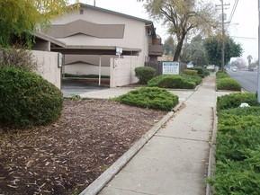 3330 Willow Pass Rd Apartments in Concord, CA 94519 Zumper