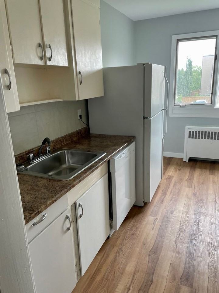 Renovated One Bedroom Apartment Apartments 11235, Edmonton, AB T5G