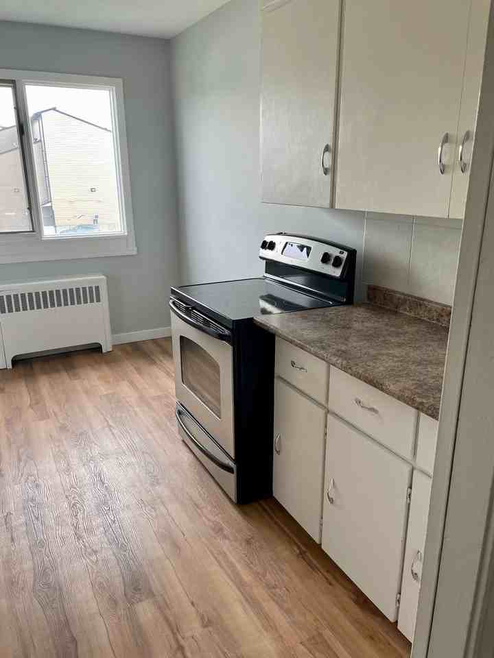 Renovated One Bedroom Apartment Apartments 11235, Edmonton, AB T5G