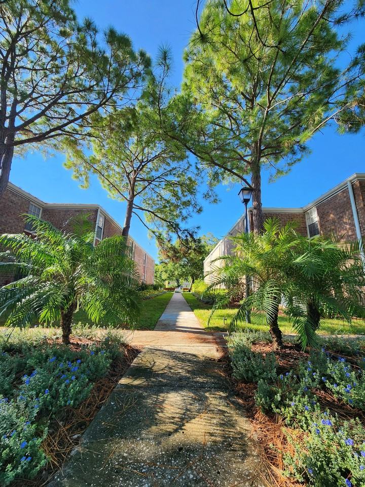 Timberfalls Apartment Homes Apartments 2600 E 113th Ave, Tampa, FL