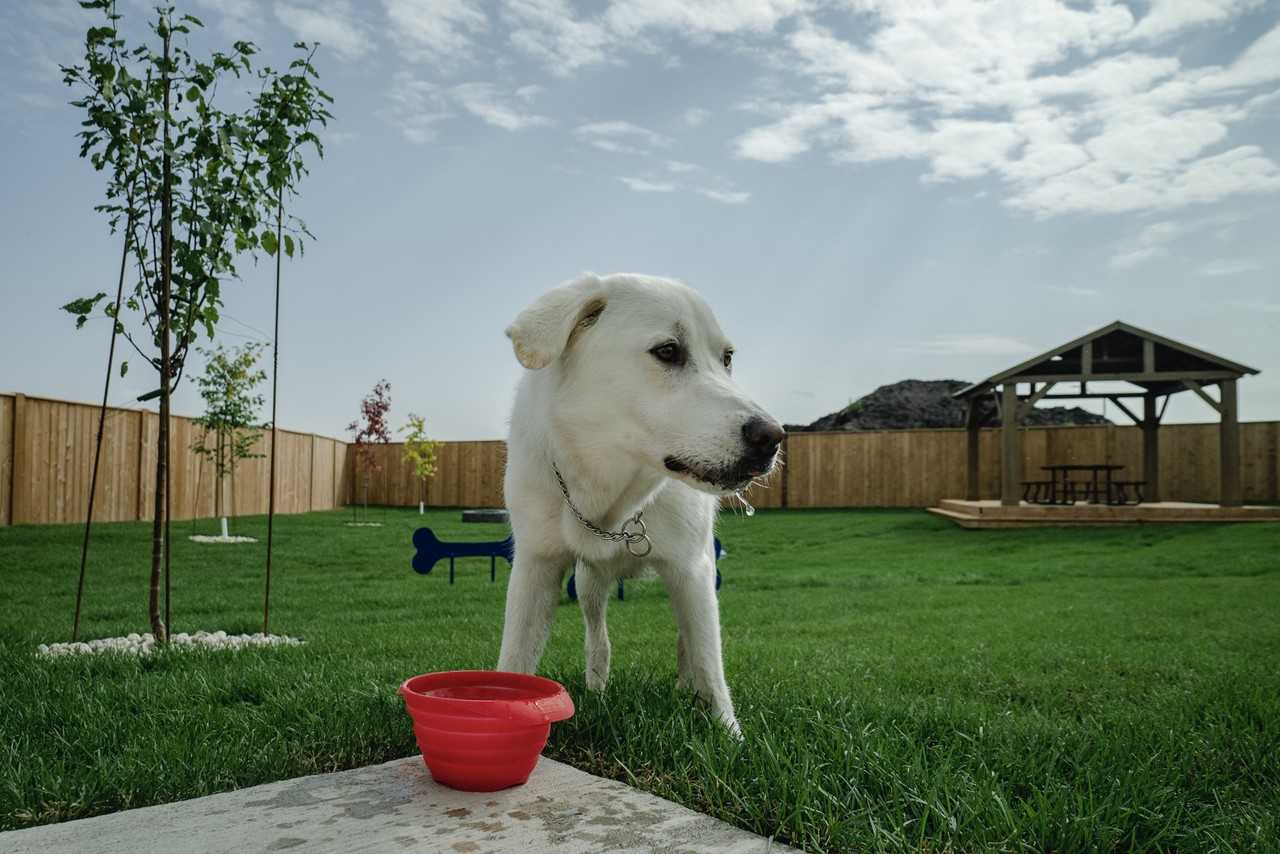 64 Sand Piper Trail N Apartments in Landmark, MB R0A 0X0 Zumper