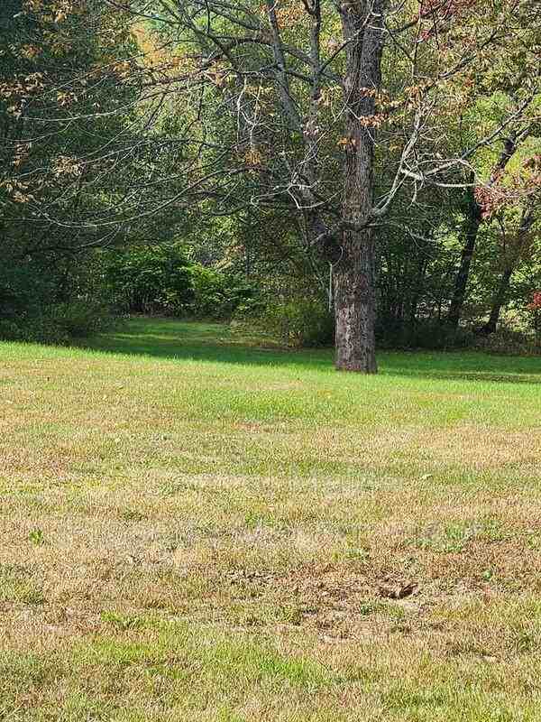 436 Pleasant St, Mechanic Falls, ME 04256 3 Bedroom Condo for 1,600