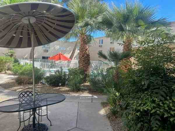 South Cove Apartments 7023845111 1525 East Fremont Street, Las