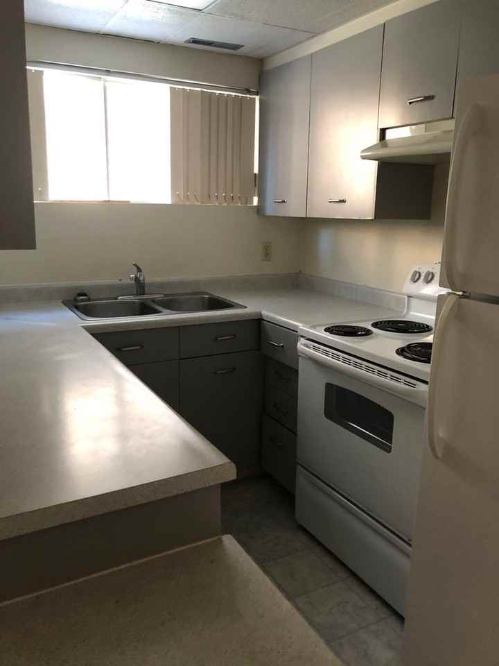 3 Bedroom Basement Suite in ALLENDALE Apartments 6830 105a St Nw