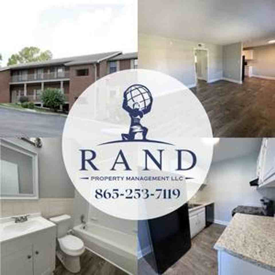 Stunning newly renovated 2 BD with washer/dryer connections! Apartments