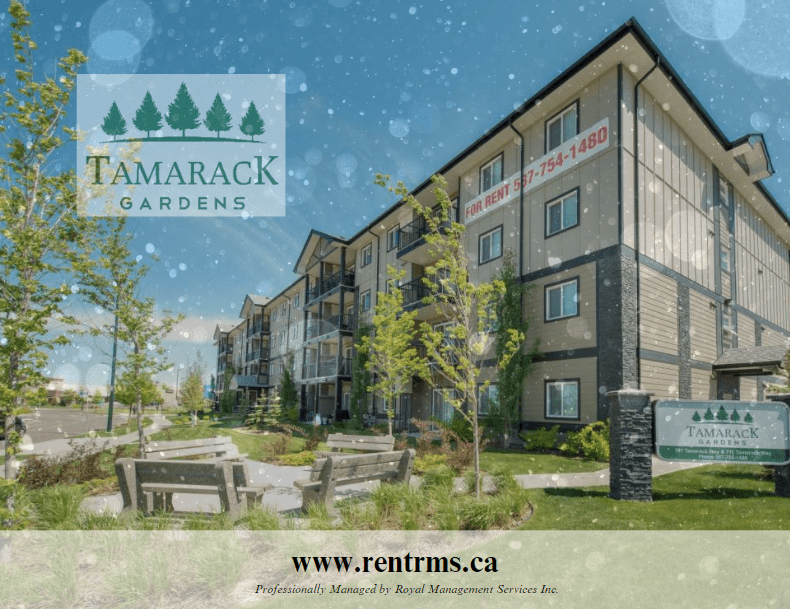 Apartments for Rent In Tamarack, Edmonton, AB Find Condos & Other