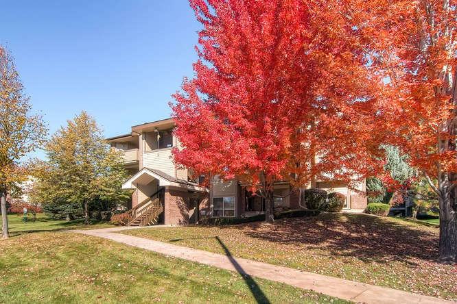 Miramont Apartments 4900 Boardwalk Dr, Fort Collins, CO 80525 Zumper