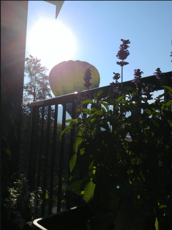 2414 Mount Baldy Dr, Kelowna, BC V1V None 1 Bedroom Condo for 1,050