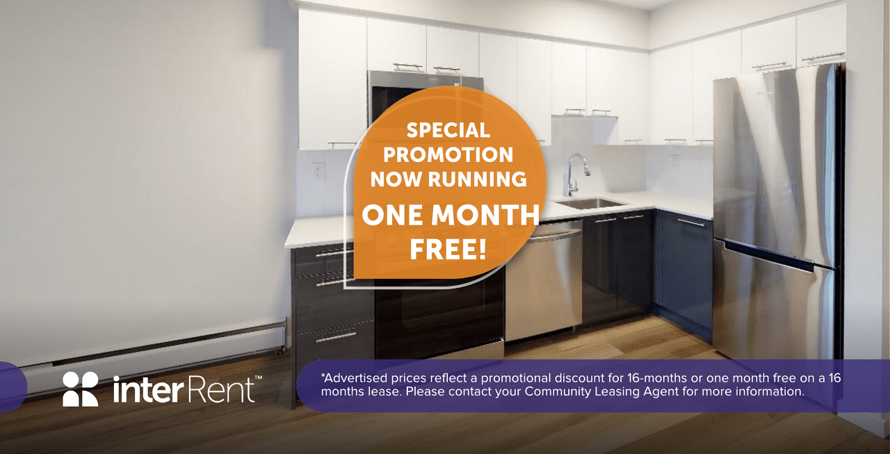 Apartments for Rent In Kitsilano, Vancouver, BC Find 52 Condos