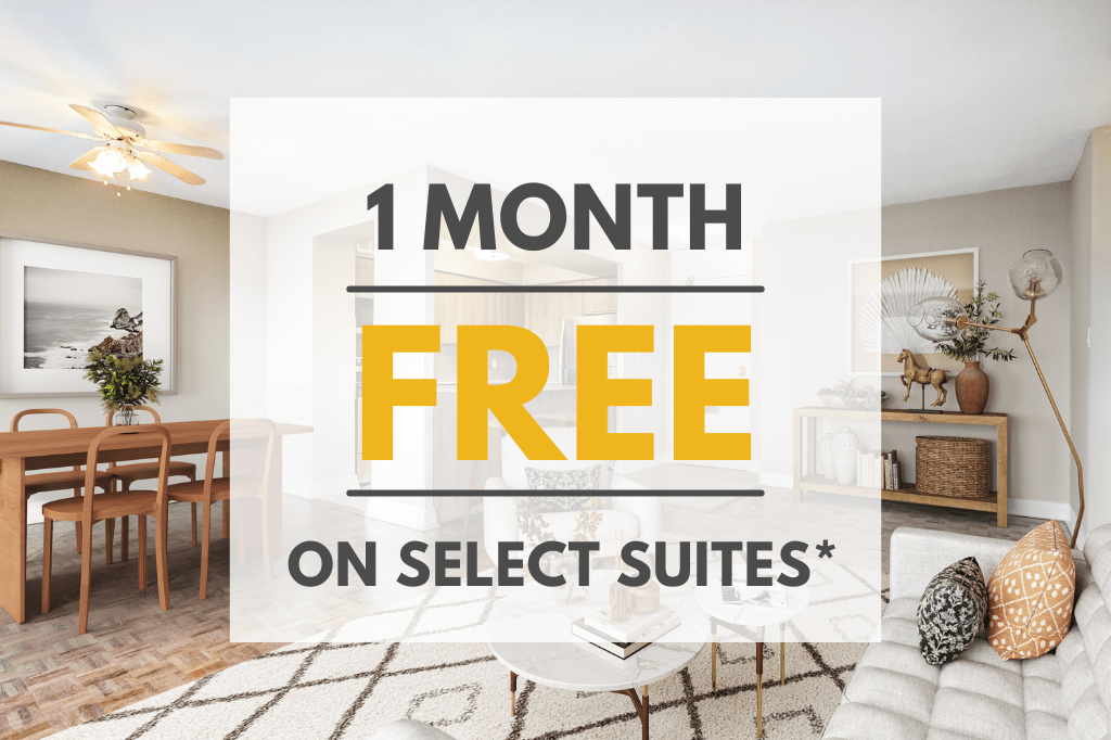 Apartments for Rent In High Park, Toronto, ON Find 30 Condos & Other Available Rentals