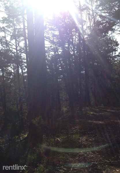 Grand Ave Apartments in Pedro PointShelter Cove, Pacifica, CA 94044