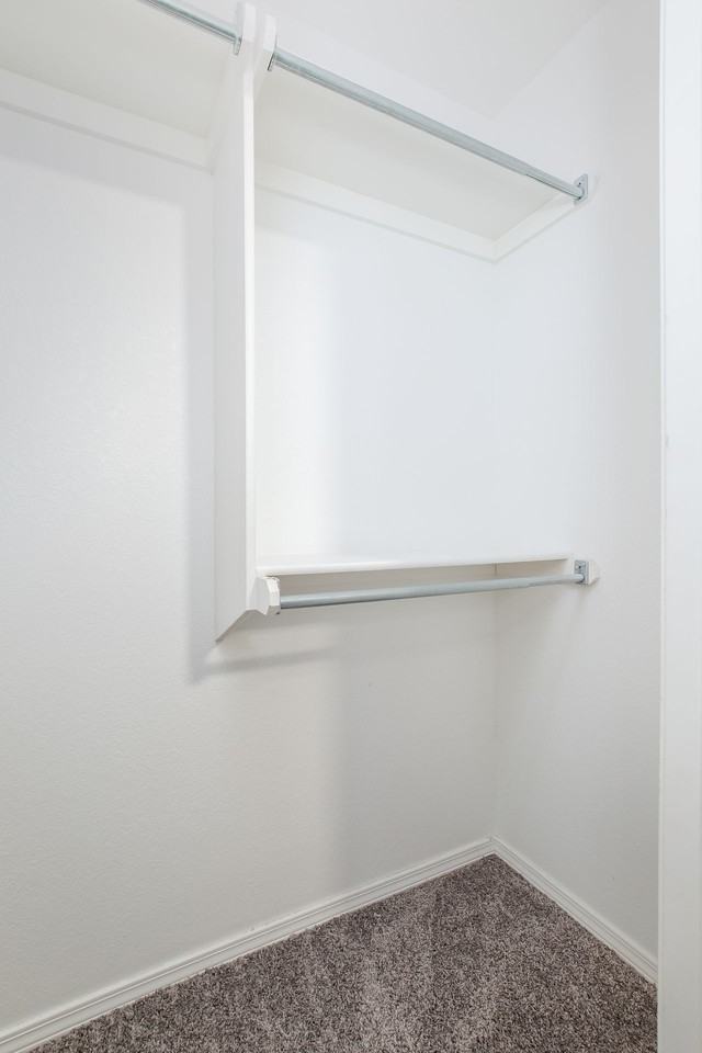 Buffalo Creek Apartment Homes Apartments 203 Summerfield Dr