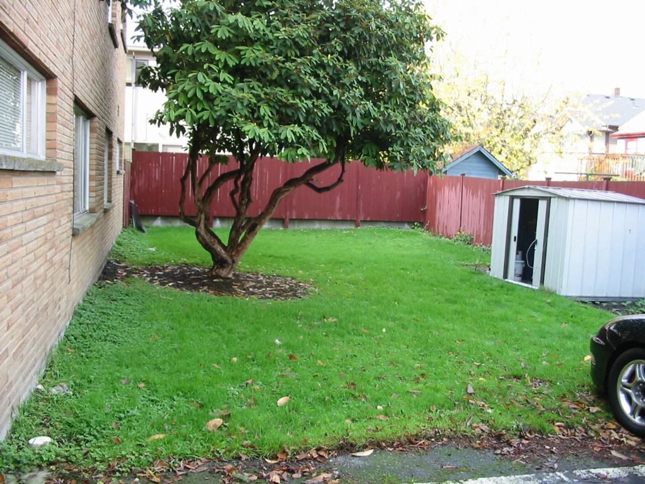 Seward Park Court Hidden Gem in Serene Neighborhood w/ FREE Onsite