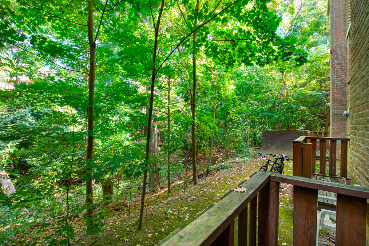 3061 Sir Johns Homestead Apartments 3061 Sir John'S Homestead