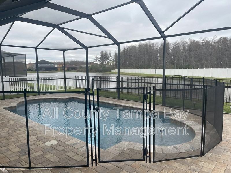 Houses for Rent In Heritage Springs, Trinity, FL Home Rentals