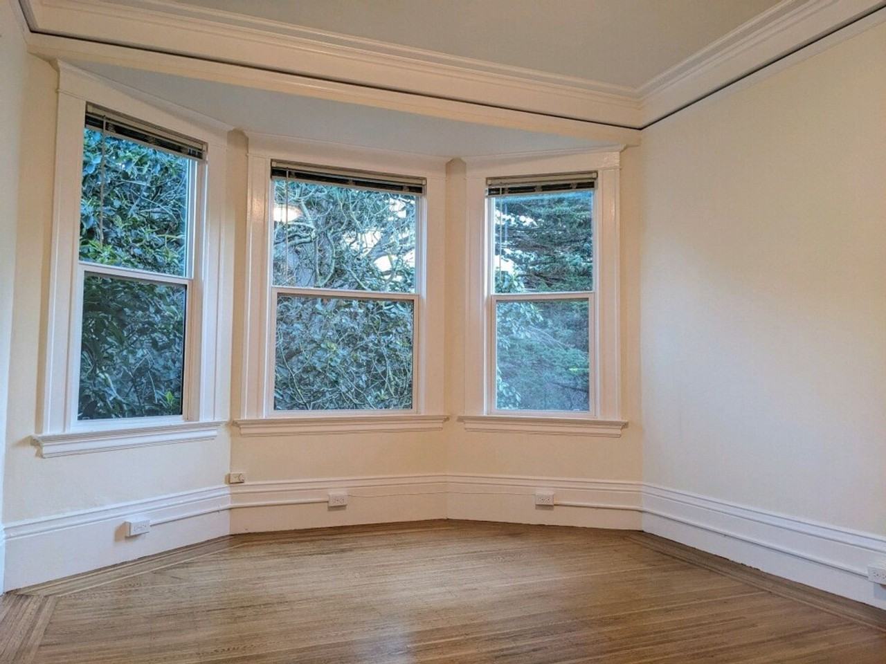 Oak Apartments in Haight Ashbury, San Francisco, CA 94117 Zumper