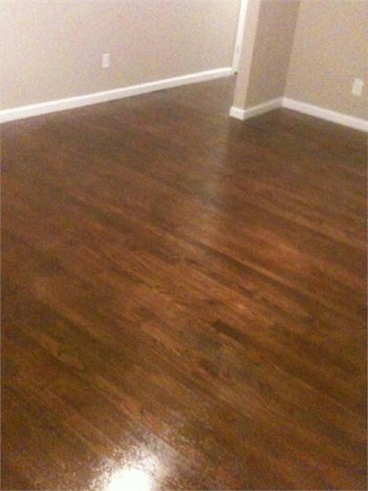 1714 Albert Ave, Knoxville, TN 37917 4 Bedroom House for 1,500/month