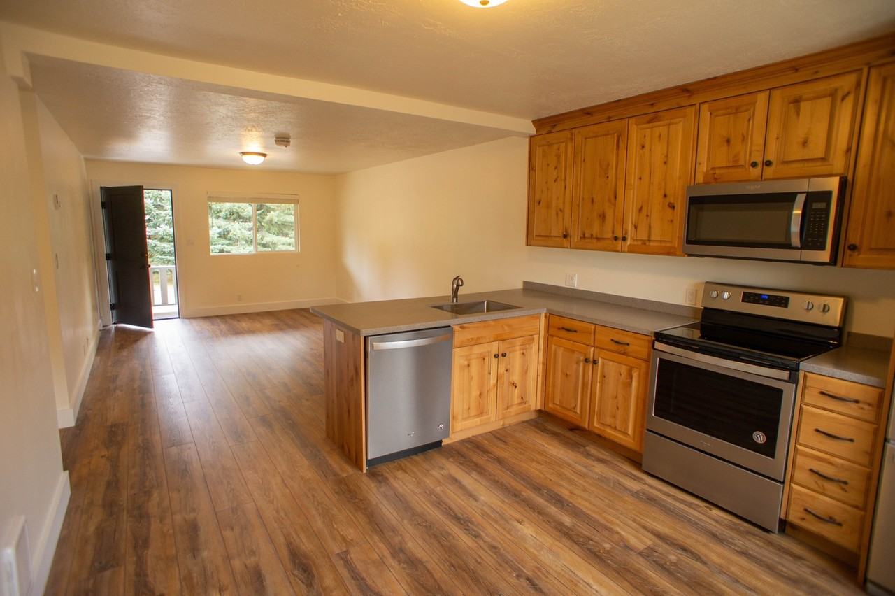 233 Diamond Sun Apartments 231 231 W 1st Street, Ketchum, ID 83340