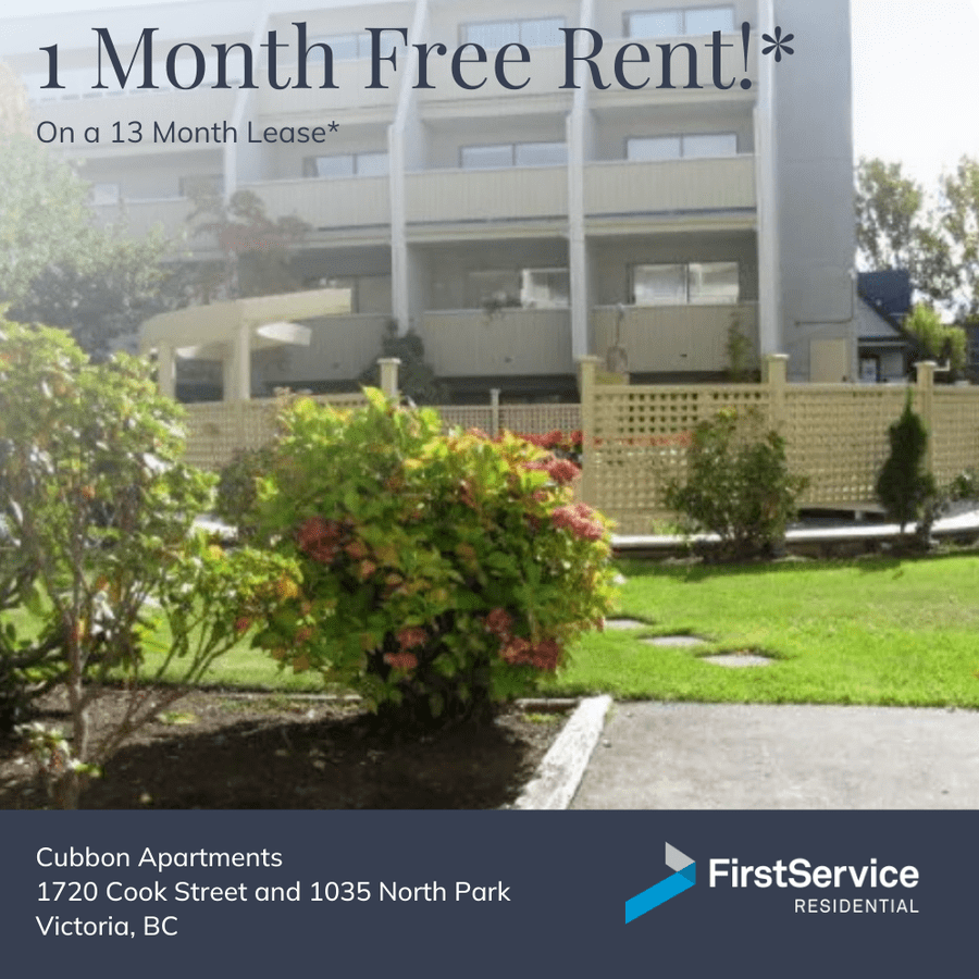 1 Bedroom Apartments for Rent In Victoria, BC 52 Available