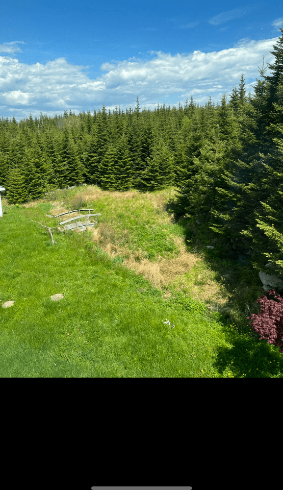 41 Fox Point Lane 1, Lawrencetown, NS B2Z 1S3 4 Bedroom House for