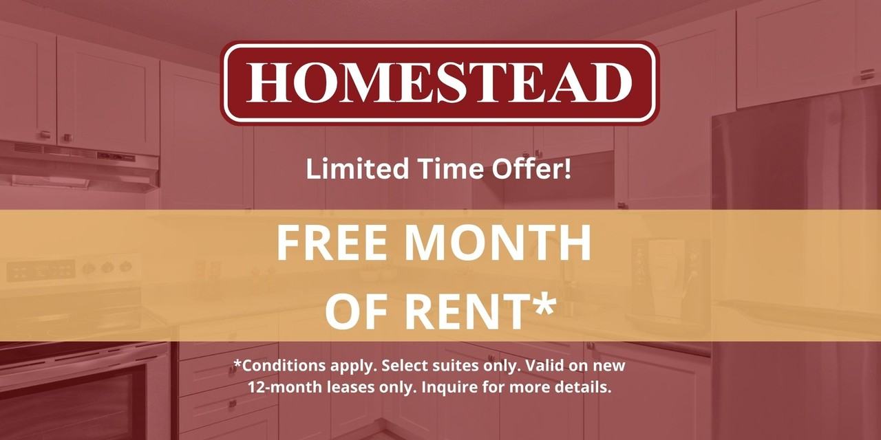 2 Bedroom Apartments for Rent In Sandy Hill, Ottawa, ON 25 Rentals Available