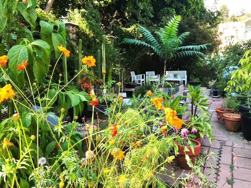 6400 Primrose Avenue AVE 23, Los Angeles, CA 90068 2 Bedroom Condo for