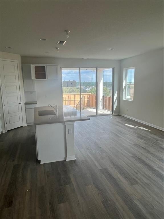 215 Wagon Spoke Way, Liberty Hill, TX 78642 4 Bedroom Apartment for