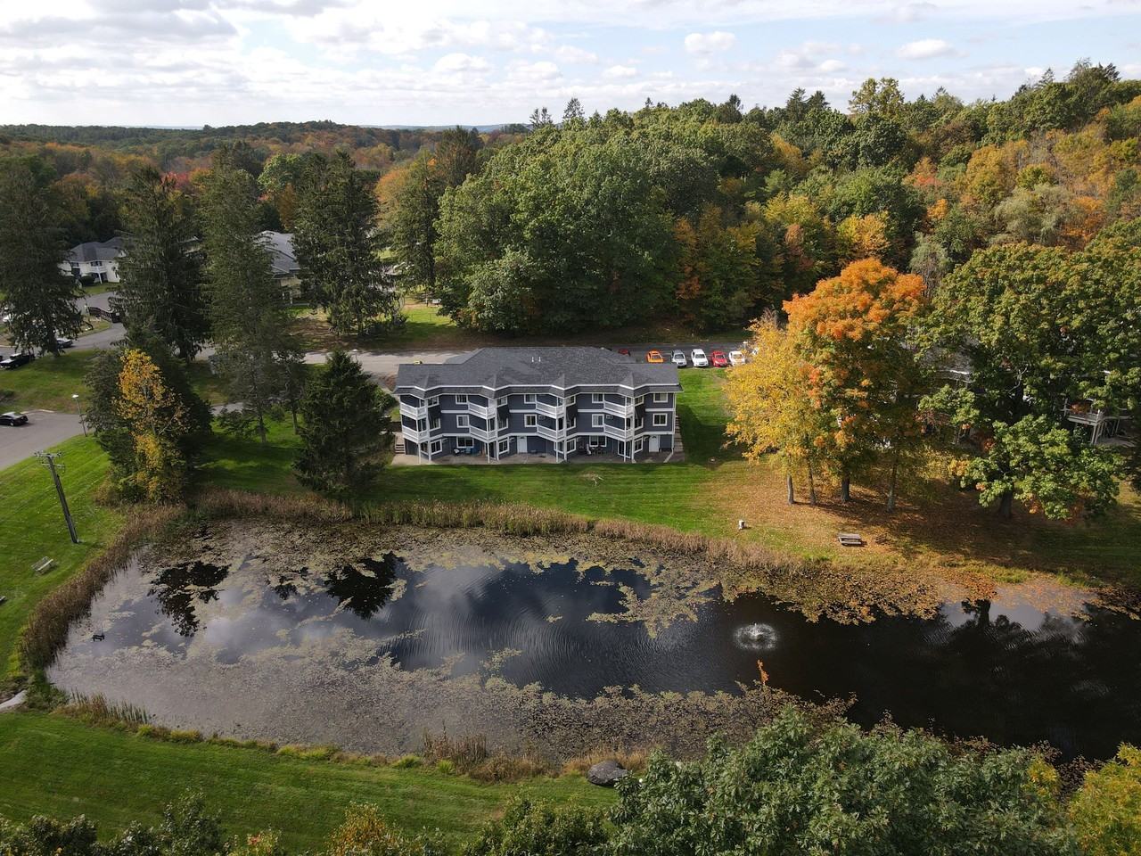 Pet Friendly Apartments for Rent in Watertown, CT Search for 25 Dog