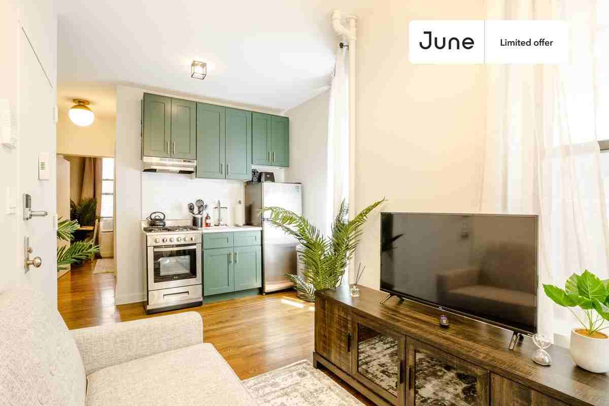 Monroe St 1A, New York, NY 10002 1 Bedroom Apartment for 2,725/month