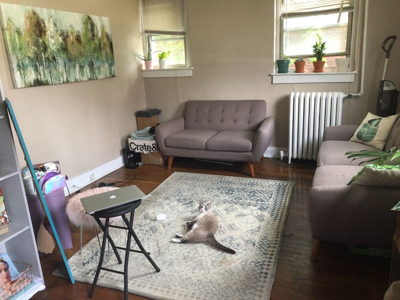 Wendover Apartments in Squirrel Hill South, Pittsburgh, PA 15217 Zumper