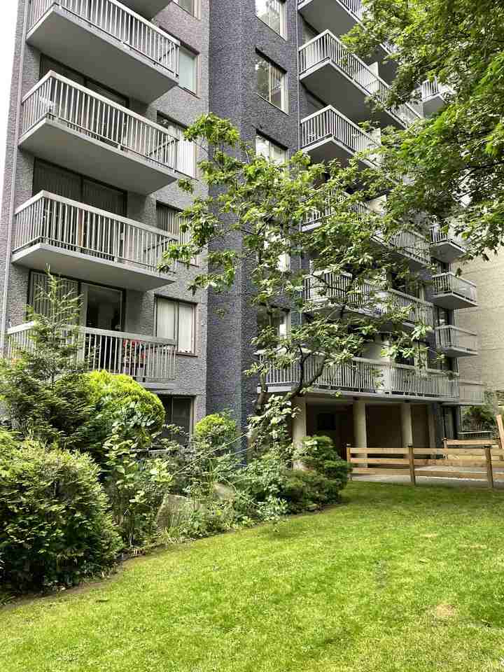 Pet Friendly Apartments for Rent in Vancouver, BC 304 Rentals Zumper